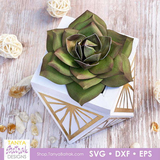 DIY Paper Succulent Template