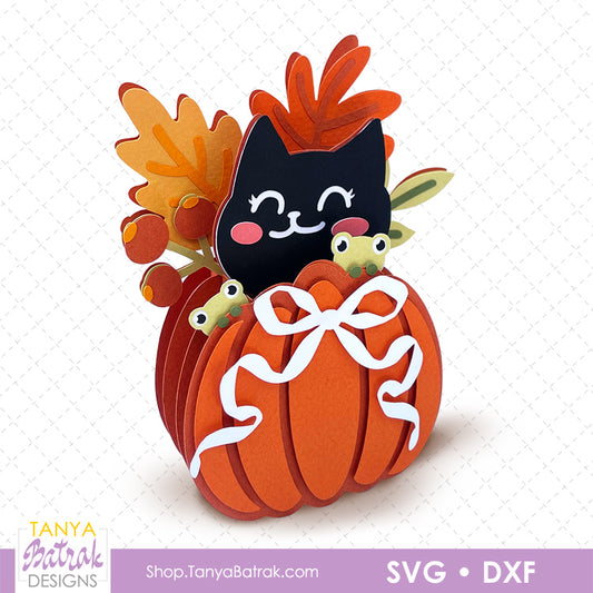 Pumpkin Box Card with Black Cat