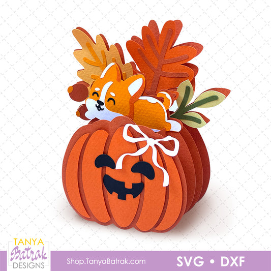Pumpkin Box Card with Corgi