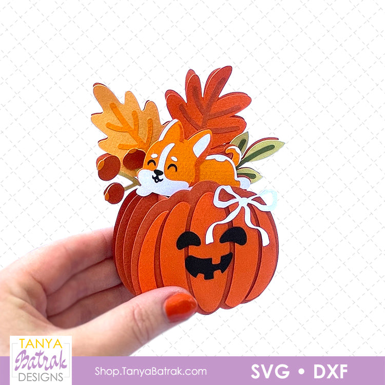 Pumpkin Box Card with Corgi