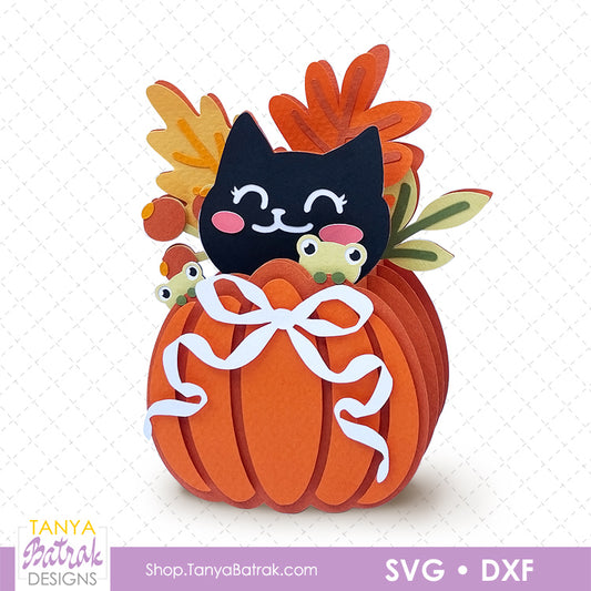 Pumpkin Box Card with Black Cat