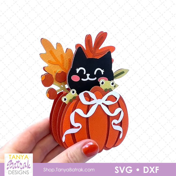 Pumpkin Box Card with Black Cat
