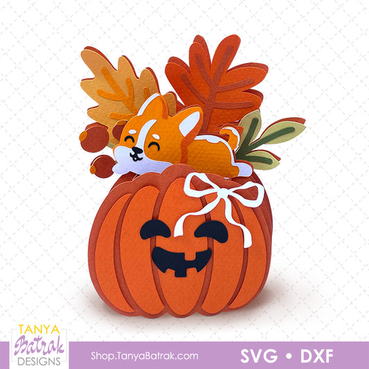 Pumpkin Box Card with Corgi